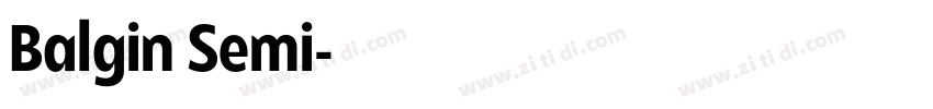 Balgin Semi字体转换 Balgin Semi字体转换